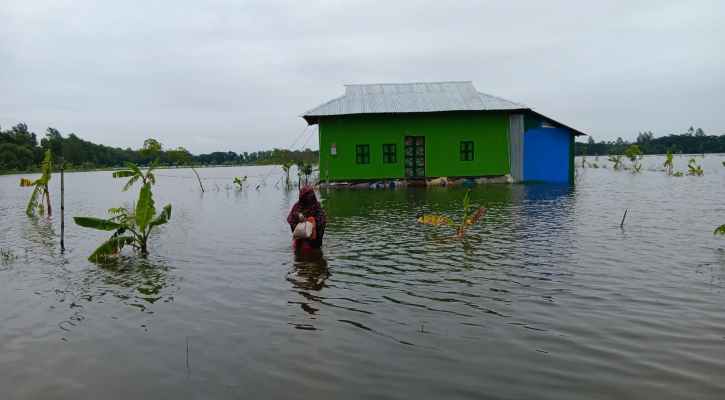 লক্ষ্মীপুরে পানিবন্দিদের জন্য ১৫৫ মেট্রিক টন চাল ও ১০ লাখ টাকা বরাদ্দ